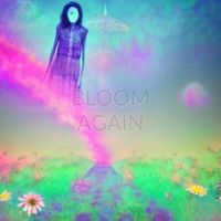 Bloom Again by Nader Rahy