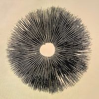 Mushroom : Vinyl