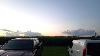 the cornfield
