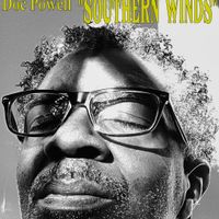 "Southern Winds"  by Doc Powell