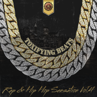 Rap And Hip Hop Sensation 4 Bundle