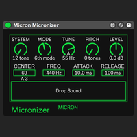 Micronizer