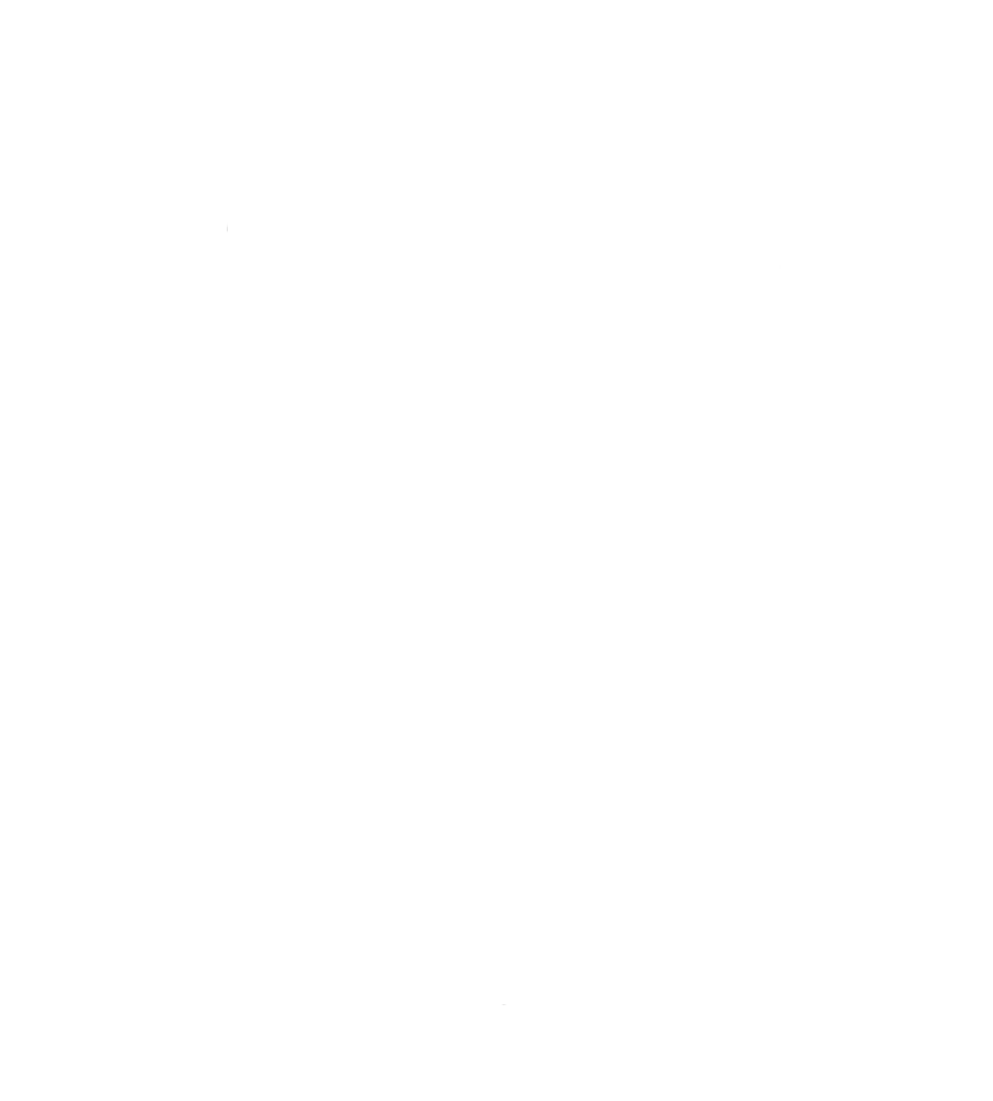 The Down Troddence