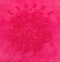 Hot Pink Exodus Flower Lady Flannel 