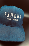 Exodus PDCM Navy Blue and White Cap