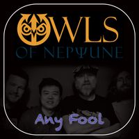 Any Fool by Owls of Neptune