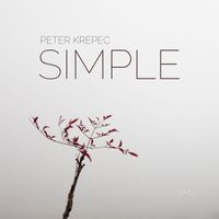 SIMPLE - LIVE 432hz by Piotr Krepec