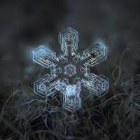 Snowflake by Lowescompany Music Productions