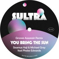 Michael Gray & Seamus Haji ft Phebe Edwards - You bring the sun (Groove Assassin Remix) by You bring the sun (GrooveAssassin Remix)