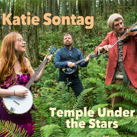 Temple Under the Stars by Katie Sontag
