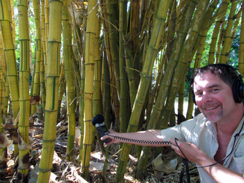 Dean recording bamboo in Barbados for our CD Journey to Infinity (2012)
