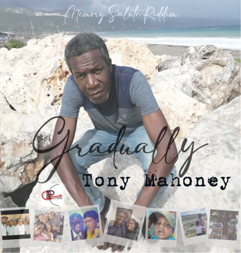 Tony Mahoney - Gradually
