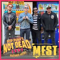 “POP PUNK’S NOT DEAD FEST” 2024