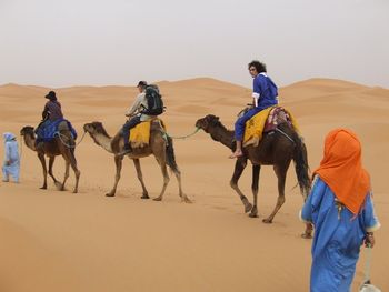 JG Montgomery- sahara desert
