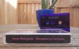 Strawberry Cactuses: Cassette