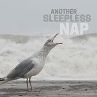 Another Sleepless Nap by Rub Wrongways Records