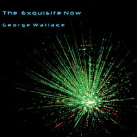 The Exquisite Now by George Wallace