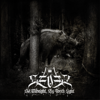 At Midnight, By Torch Light by Sever