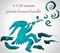 4 X 30 minute Private Lesson Bundle