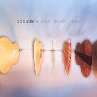C​ó​dices by Daniel Reyes Llinás