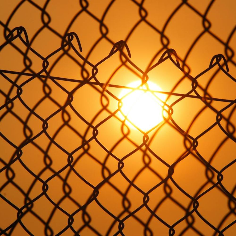 Barbed wire fence and strong sun