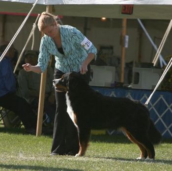 Darby at the 2008 National Specialty in Warwick, RI
