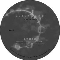 seconds to forever [deepchord + intrusion mixes] 12" masters  by cv313