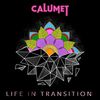 Life in Transition: CD