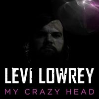My Crazy Head by Levi Lowrey