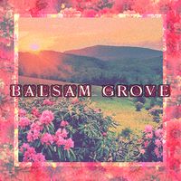 Echoes of the Past by Balsam Grove