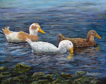 Ducks on Lake Dot...
Acrylic on Canvas  14" x 11"
