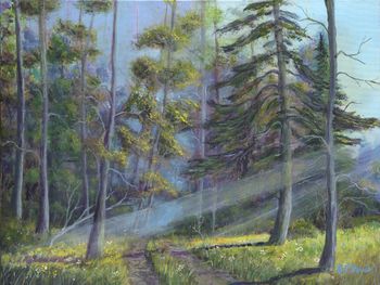 The Old Forest Road...
Acrylic on Canvas  24" x 18"
