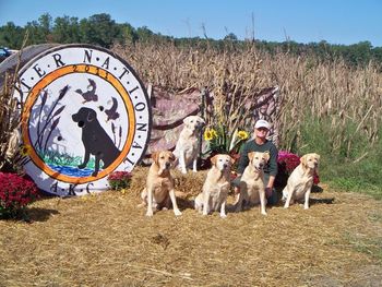 10-1-11 The 2011 Master National in Maryland was a very busy time for us as all 5 dogs had earned the right to compete in the event.
