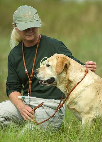 Dogs introduce you to the nicest people. Jim Harvey, a professional photgrapher and businessman from Florida was at this hunt test and shot this picture of Angie and Roxy. Jim was in the same Master flight with us and had a real nice male black Lab, JT's Missing Element (Carbon).
