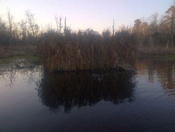 02-18-13 This is the "Hilton Blind" which is in the middle of the Beaver Pond. This is the only blind that has to accessed by boat. It is 8 feet wide and 12 feet long with boat access from the rear. This blind is typically only used for remote controlled wingers but it does have a dog ramp for the occasional duck hunt from this blind.
