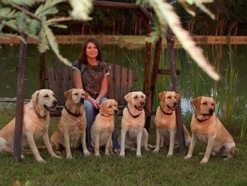 Our daughter Jess and her 6 yellow "siblings". (L to R) Hoss, Roxy, Grace, Duchess, Dixie & Thorne
