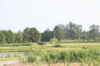 Our hay ride around the farm is the best way to see all the ponds, fields and natural habitat for retriever training.
