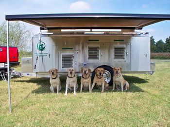 Our dogs are really enjoying the Air Conditioning, the (2) awnings, the massive air flow and all that insulation that Mountaintop put in this trailer. It makes a big difference on those hot July days in South Carolina.
