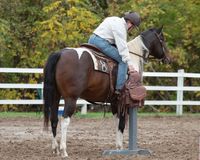  Basics of Cowboy Obstacles at Horse Day Erin 2023