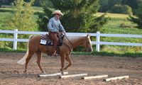  Basics of Ranch Riding with Greg Crispin