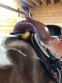 Saddle Fitting with Britt Blakely