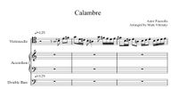 Astor Piazzolla - Calambre (arrangement for cello, accordion and double bass)