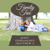 Family Tree (Jesus' Genealogy) by Catherine Meekins