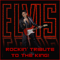 Rockin' Tribute To The King