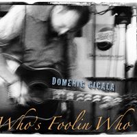 Who's Foolin Who by Domenic Cicala