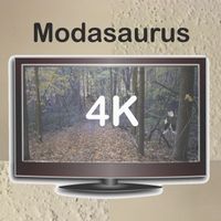 4K by Modasaurus