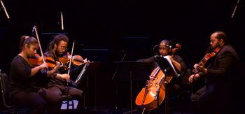 Despax String Quartet, photo by Elke Schaetgen

