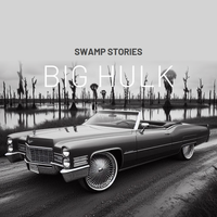 Swamp Stories by Big Hulk