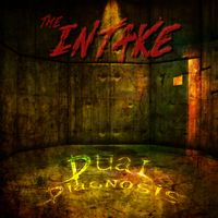 The Intake by Dual Diagnosis