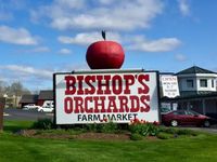 Jam Chowder returns to Bishop's Orchards & Winery in Guilford on Friday August 2nd @ 6:30p